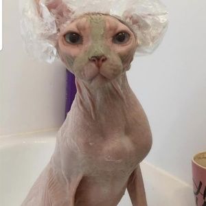 Meet your Posher, Jodie